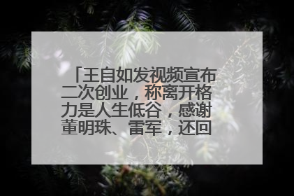 王自如发视频宣布二次创业，称离开格力是人生低谷，感谢董明珠、雷军，还回应了“工资条”：清楚自己要什么……
