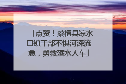 点赞！桑植县凉水口镇干部不惧河深流急，勇救落水人车
