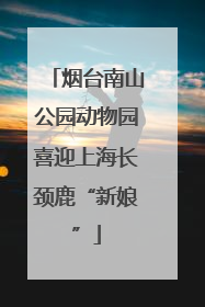 烟台南山公园动物园喜迎上海长颈鹿“新娘”