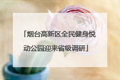 烟台高新区全民健身悦动公园迎来省级调研