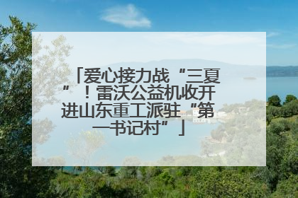爱心接力战“三夏”！雷沃公益机收开进山东重工派驻“第一书记村”