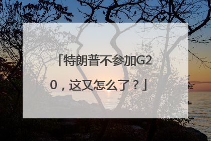 特朗普不参加G20，这又怎么了？