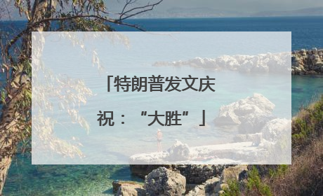 特朗普发文庆祝：“大胜”