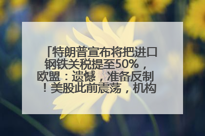 特朗普宣布将把进口钢铁关税提至50%，欧盟：遗憾，准备反制！美股此前震荡，机构：美元正进入熊市