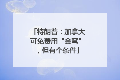 特朗普：加拿大可免费用“金穹”，但有个条件