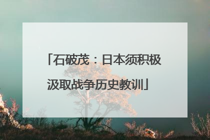 石破茂：日本须积极汲取战争历史教训