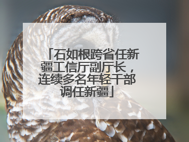 石如根跨省任新疆工信厅副厅长，连续多名年轻干部调任新疆