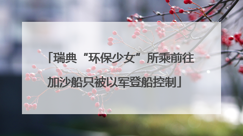 瑞典“环保少女”所乘前往加沙船只被以军登船控制