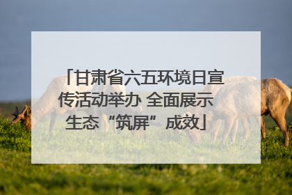 甘肃省六五环境日宣传活动举办 全面展示生态“筑屏”成效