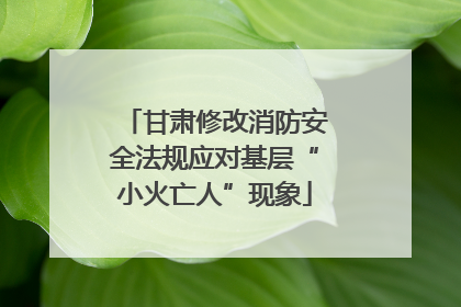 甘肃修改消防安全法规应对基层“小火亡人”现象