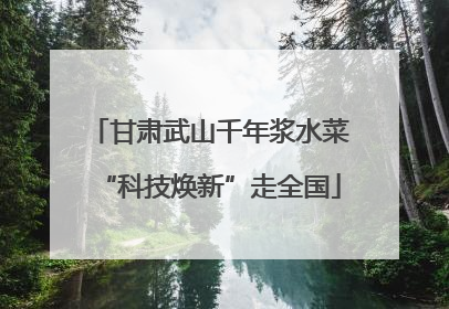 甘肃武山千年浆水菜“科技焕新”走全国