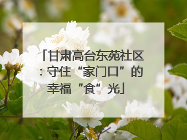 甘肃高台东苑社区：守住“家门口”的幸福“食”光