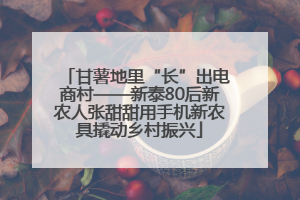甘薯地里“长”出电商村——新泰80后新农人张甜甜用手机新农具撬动乡村振兴