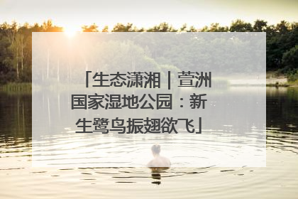 生态潇湘｜萱洲国家湿地公园：新生鹭鸟振翅欲飞