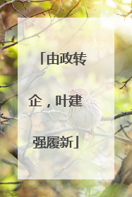 由政转企，叶建强履新