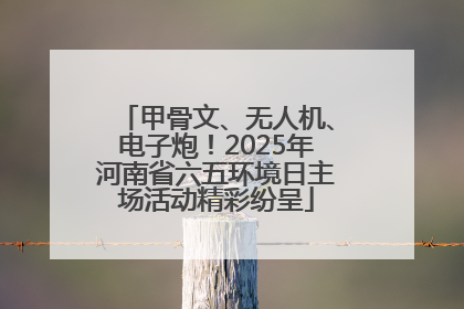 甲骨文、无人机、电子炮！2025年河南省六五环境日主场活动精彩纷呈