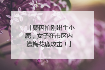疑因拍刚出生小鹿，女子在市区内遭梅花鹿攻击！