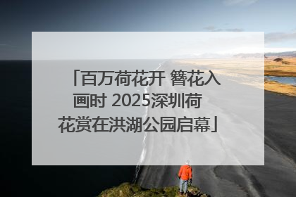 百万荷花开 簪花入画时 2025深圳荷花赏在洪湖公园启幕