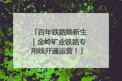 百年铁路焕新生｜金岭矿业铁路专用线开通运营！