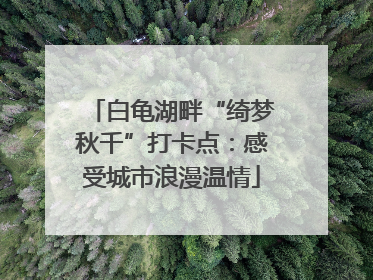 白龟湖畔“绮梦秋千”打卡点：感受城市浪漫温情