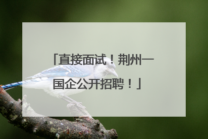 直接面试！荆州一国企公开招聘！