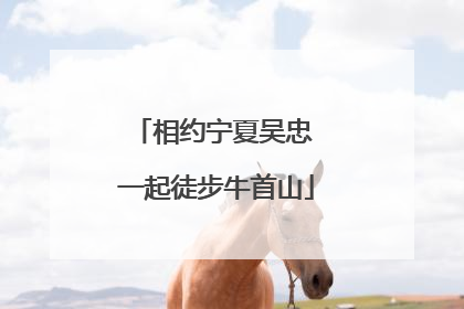 相约宁夏吴忠 一起徒步牛首山