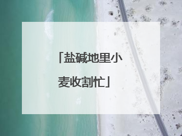 盐碱地里小麦收割忙