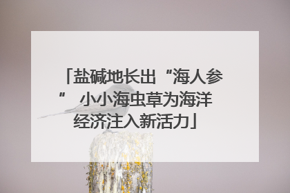 盐碱地长出“海人参” 小小海虫草为海洋经济注入新活力