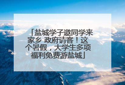 盐城学子邀同学来家乡 政府请客！这个暑假，大学生多项福利免费游盐城