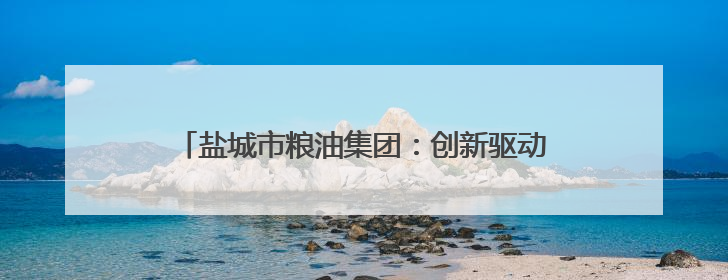 盐城市粮油集团：创新驱动助转型 提质增效促发展