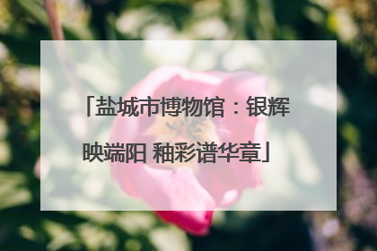 盐城市博物馆：银辉映端阳 釉彩谱华章