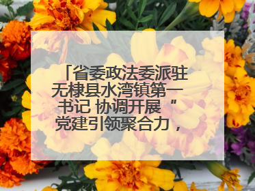 省委政法委派驻无棣县水湾镇第一书记 协调开展“党建引领聚合力，健康义诊惠乡亲”义诊活动