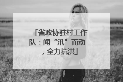 省政协驻村工作队：闻“汛”而动，全力抗洪