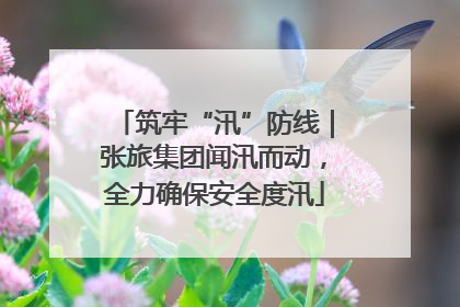 筑牢“汛”防线｜张旅集团闻汛而动，全力确保安全度汛