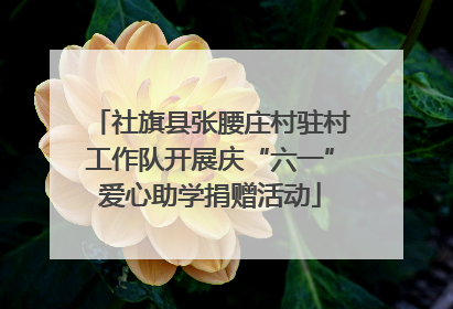 社旗县张腰庄村驻村工作队开展庆“六一”爱心助学捐赠活动