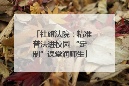 社旗法院：精准普法进校园 “定制”课堂润师生