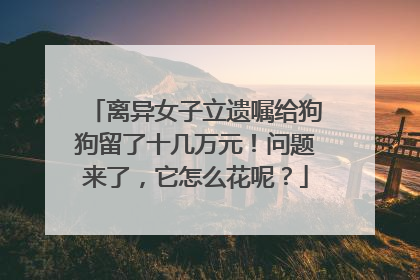 离异女子立遗嘱给狗狗留了十几万元！问题来了，它怎么花呢？