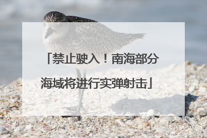 禁止驶入！南海部分海域将进行实弹射击