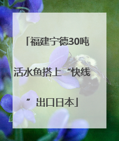 福建宁德30吨活水鱼搭上“快线”出口日本