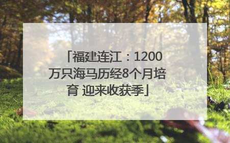 福建连江：1200万只海马历经8个月培育 迎来收获季
