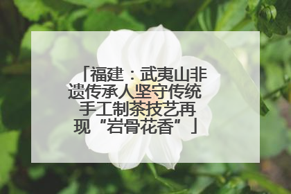 福建：武夷山非遗传承人坚守传统 手工制茶技艺再现“岩骨花香”