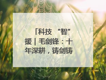 科技 “智”援｜毛剑锋：十年深耕，铸剑铸造创新之路