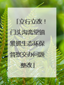 立行立改！门头沟斋堂镇紧抓生态环保督察交办问题整改