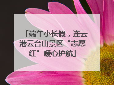 端午小长假，连云港云台山景区“志愿红”暖心护航