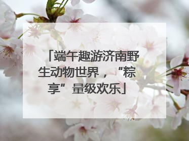 端午趣游济南野生动物世界，“粽享”量级欢乐