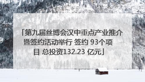 第九届丝博会汉中重点产业推介暨签约活动举行 签约 93个项目 总投资132.23 亿元