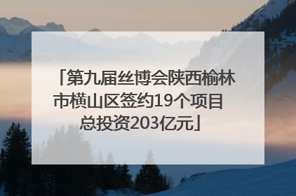 第九届丝博会陕西榆林市横山区签约19个项目 总投资203亿元