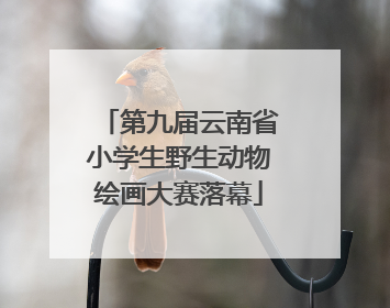 第九届云南省小学生野生动物绘画大赛落幕