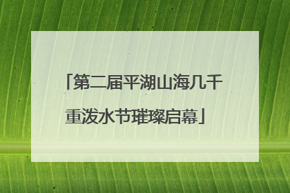 第二届平湖山海几千重泼水节璀璨启幕