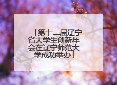 第十二届辽宁省大学生创新年会在辽宁师范大学成功举办